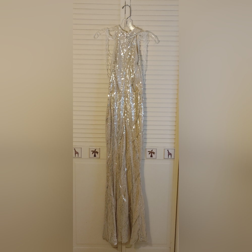 Elegant Silver Evening Gown - Picture 2 of 10